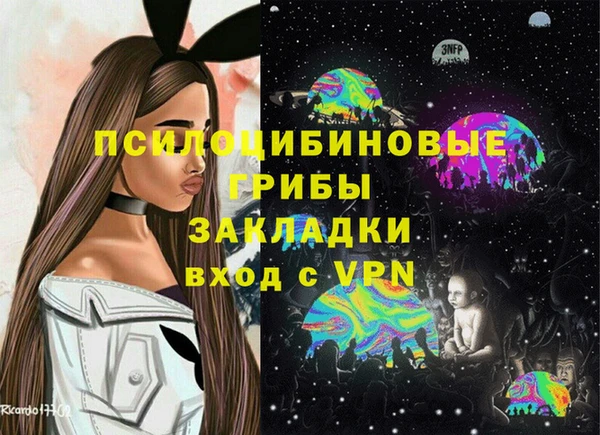 дживик Алексин