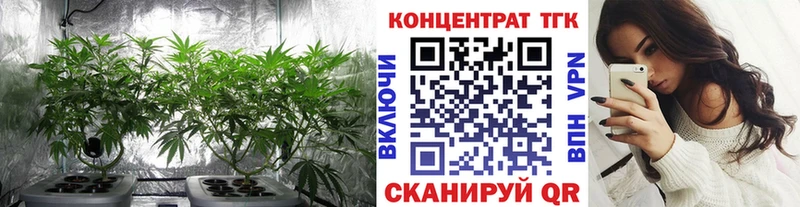 ссылка на мегу как войти  Сортавала  Дистиллят ТГК концентрат 