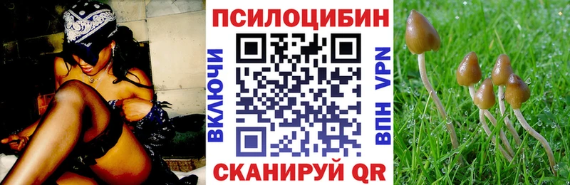 Галлюциногенные грибы MAGIC MUSHROOMS  Сортавала 